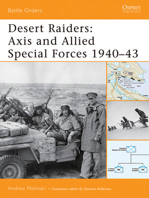 cover image of Desert Raiders